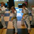 6 Martial Arts Classes for Your Budding Black Belt 6 Martial Arts Classes for Your Budding Black Belt