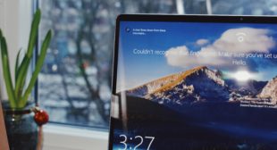 5 Effective Solutions to Fix Windows 10 Search Problems 5 Effective Solutions to Fix Windows 10 Search Problems