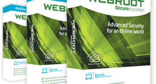 webroot safe installer exe