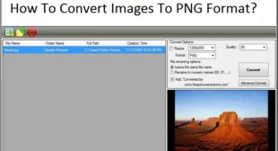 How To Convert Images To PNG Format?