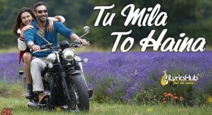 TU MILA TO HAINA LYRICS by De De Pyaar De