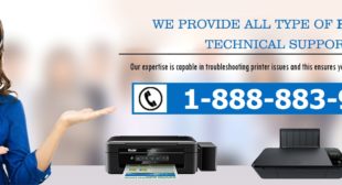 HP Printer Printer Support Number