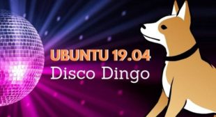 Here’s Why You Should Upgrade to Ubuntu 19.04 Disco Dingo