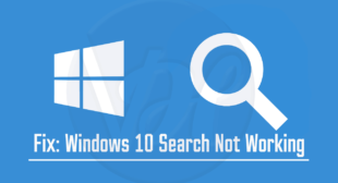 What to Do When ‘Windows Search Not Working’ on Windows 10?