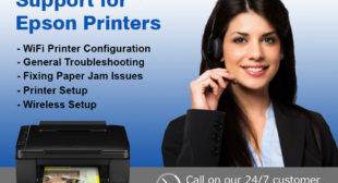 Epson Printer Support Number