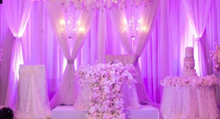 Dynamic Themed wedding decoration