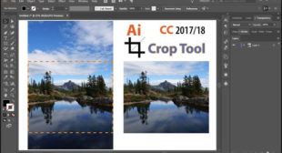 How to Crop an Image in Adobe Illustrator? – mcafee.com/activate