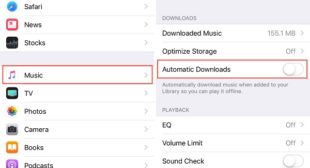 How To View Offline Music On Your iOS Device?