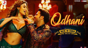 Made In China – Odhani Lyrics
