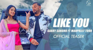 Lyrics of Like U (Tere Jaisi) Song