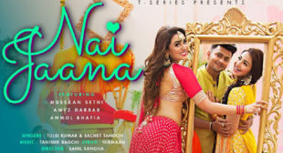 Nai Jaana – Tulsi Kumar Lyrics
