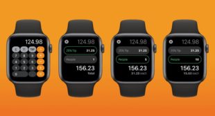 How to Use Calculator App on Apple Watch in WatchOS 6