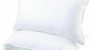 Luxury Hotel Pillow For Your Home