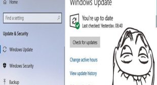 Windows 10 2019 Update: Common Issues and Solutions