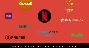Netflix Substitute: Best Streaming Sites of Movies