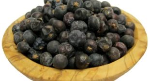 Purchase Online Juniper Berries in UK
