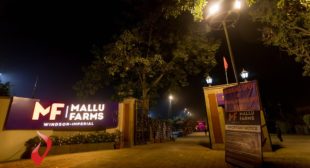 Best Wedding Venues in Chattarpur and MG Road – Top Party Places in South Delhi Best Wedding Venues in Chattarpur and MG Road – Top Party Places in South Delhi