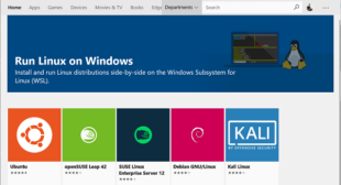 How to Install WSL on Windows 10? – Bitdefender Activate