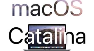 How to Install macOS Catalina beta 1 10.15.3 to Mac?