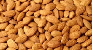 Purchase online almonds nut UK