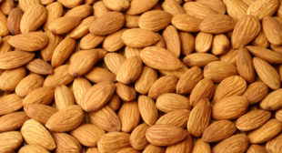 High Quality Almonds nuts buy online