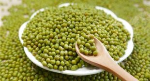 Buy Organic Mung Beans UK at Wholesale Rates