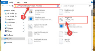How to Delete Pidage.dll File?