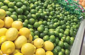 Best Quality Organic Lime Distributors in Mexico