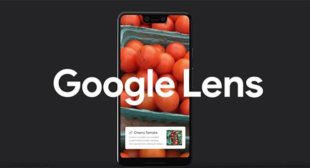 HOW TO FIX GOOGLE LENS NOT WORKING?