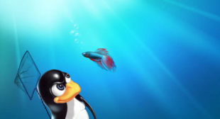 How to Switch from Windows 7 to Linux Operating System