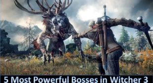 5 Most Powerful Bosses in Witcher 3