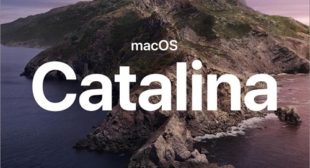 How to Access iCloud Settings and Apple ID in macOS Catalina