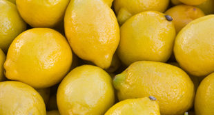Wholesale Organic Lemon Distributor in Mexico