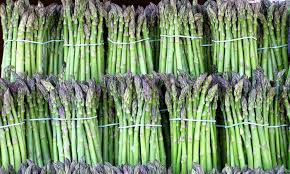 High quality organic asparagus Distributors in Mexico