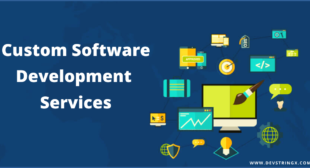 What Advantages Do Custom Software Offer?