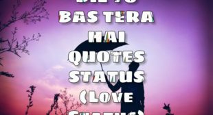 dil to bas tera hai quotes