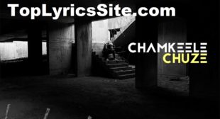 Chamkeele Chooje Lyrics – Dino James – TopLyricsSite.com