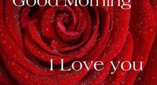 Best Image Website | Good Night Image For Whatsapp