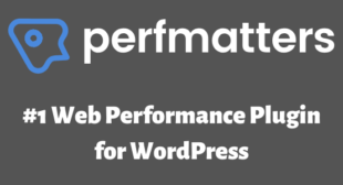Free Download Perfmatters Plugin (Nulled) – Performance Plugin For WordPress – FreeWpHub