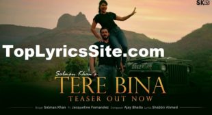 Tere Bina Lyrics – Salman Khan – TopLyricsSite.com