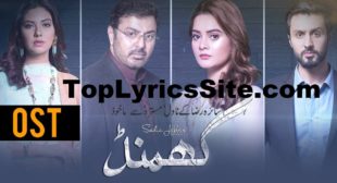 Tu kiya Jaane Ghamand OST Lyrics – Sahir Ali Bagga – TopLyricsSite.com