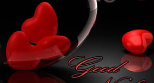 Best Image Web