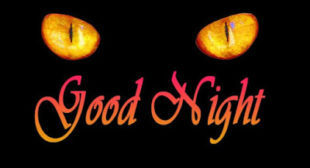 Most Popular Best Good Night Image For Whatsapp