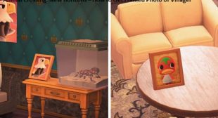 Animal Crossing: New Horizons – How to Get Framed Photo of Villager