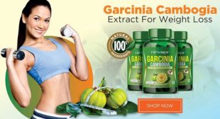 Use Garcinia Cambogia For Losing Extra Belly Fat
