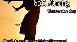 Best image website