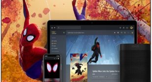 Watching Plex Shows & Movies with Friends Has Never Been This Easy