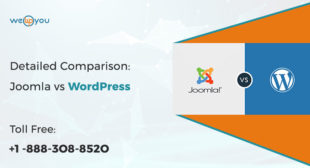 embed google form in wordpress