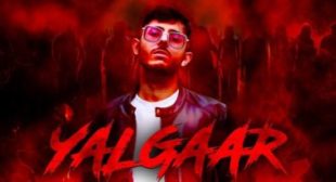 YALGAAR LYRICS – CARRY