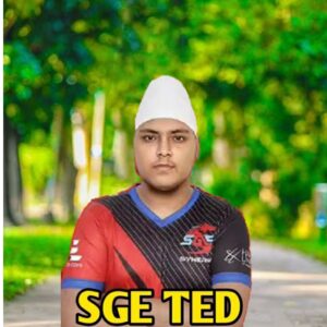 Synergy ted pubg mobile player